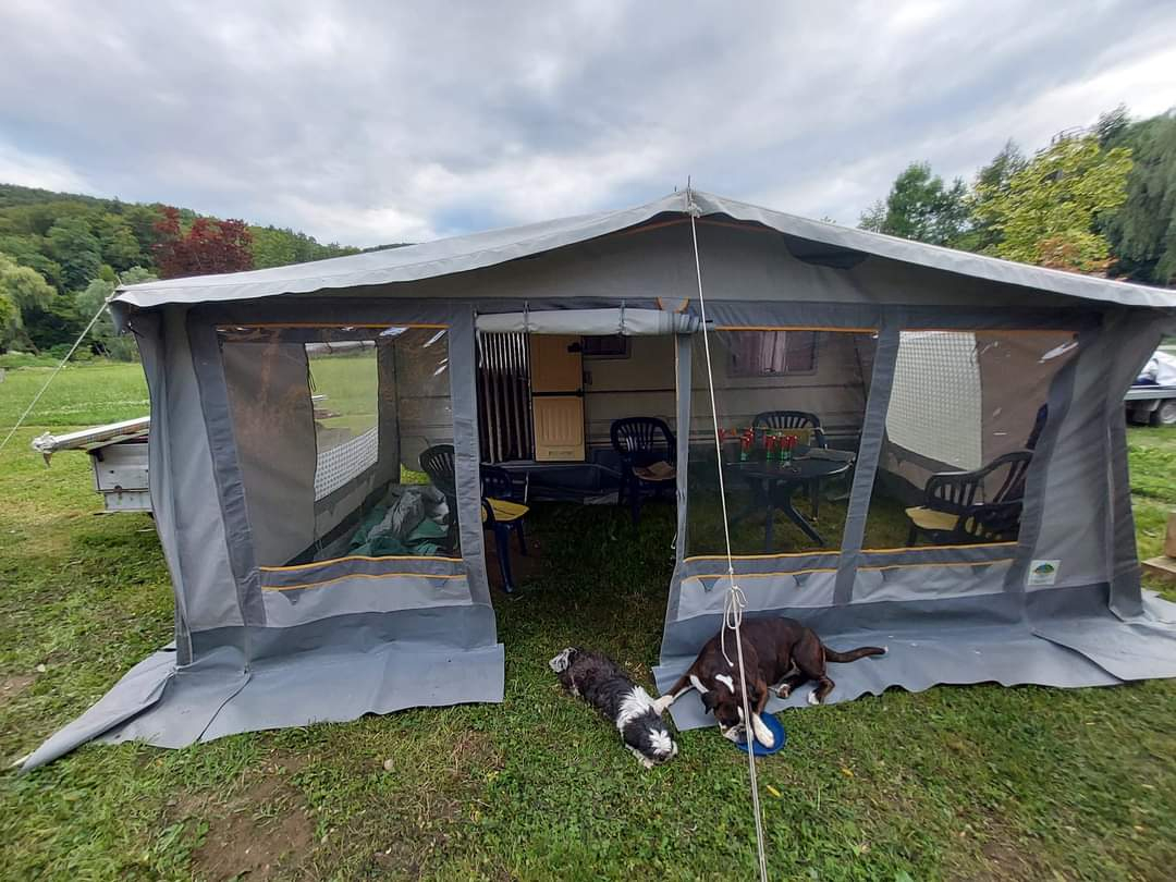 Camping Car occasion