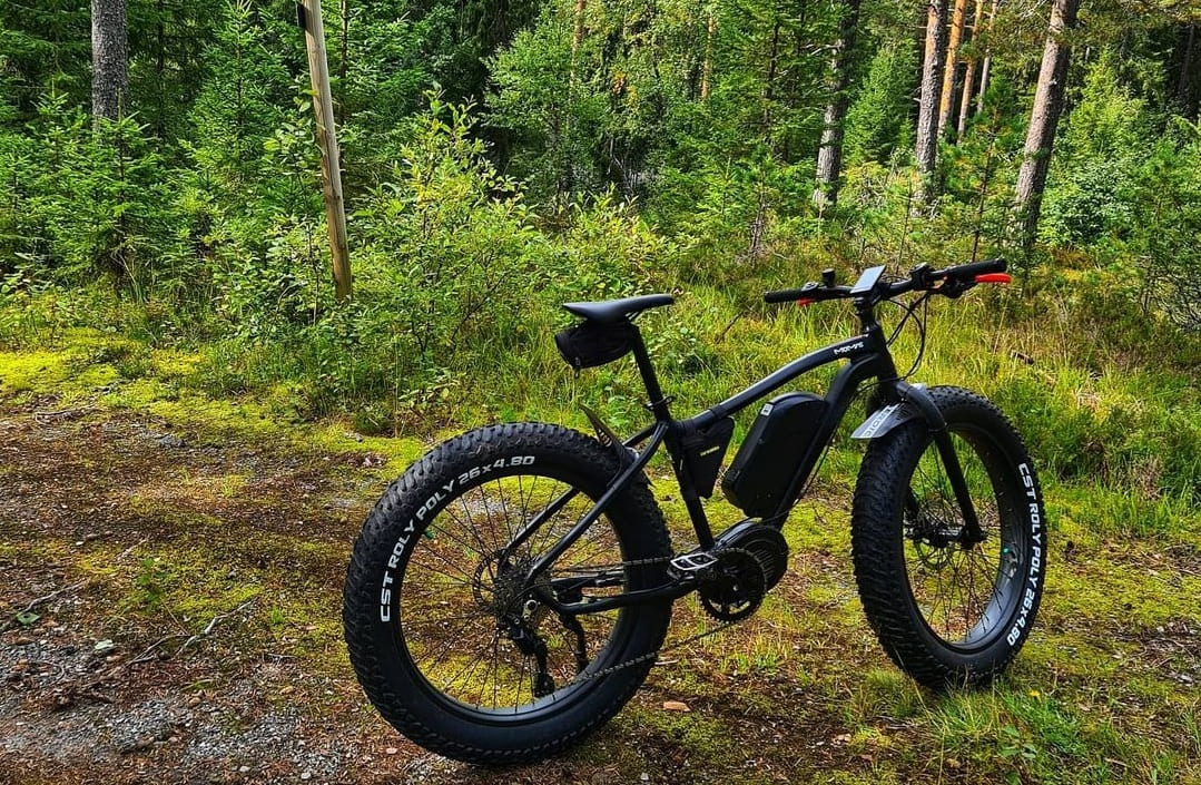 Vélo électrique cyclique en vente