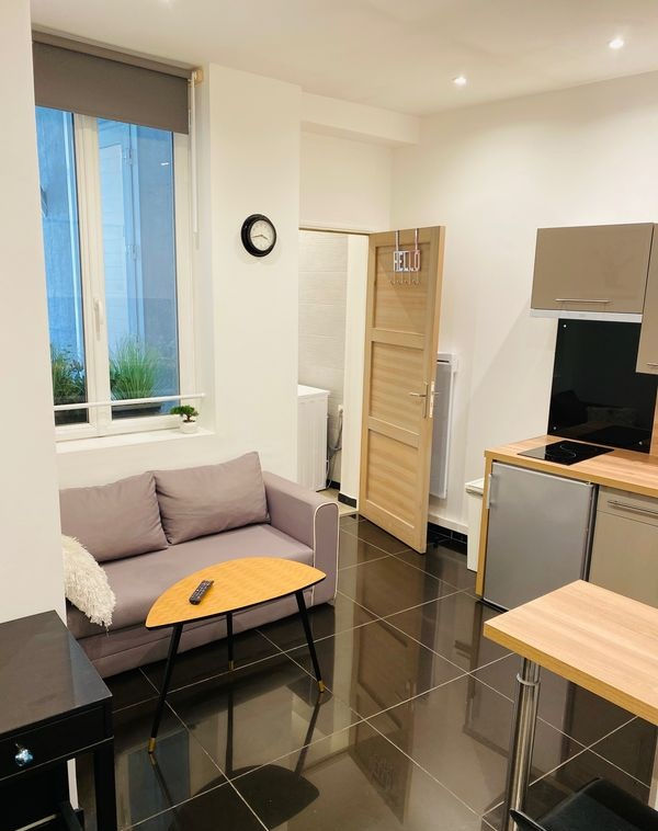 Appartement spacieux meublé lumineux lyon