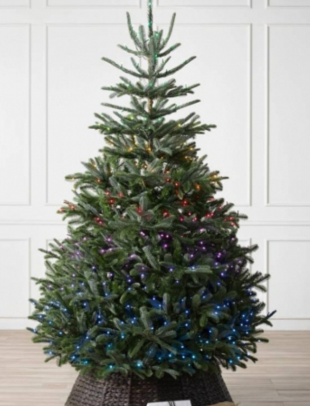 Sapin de Noël