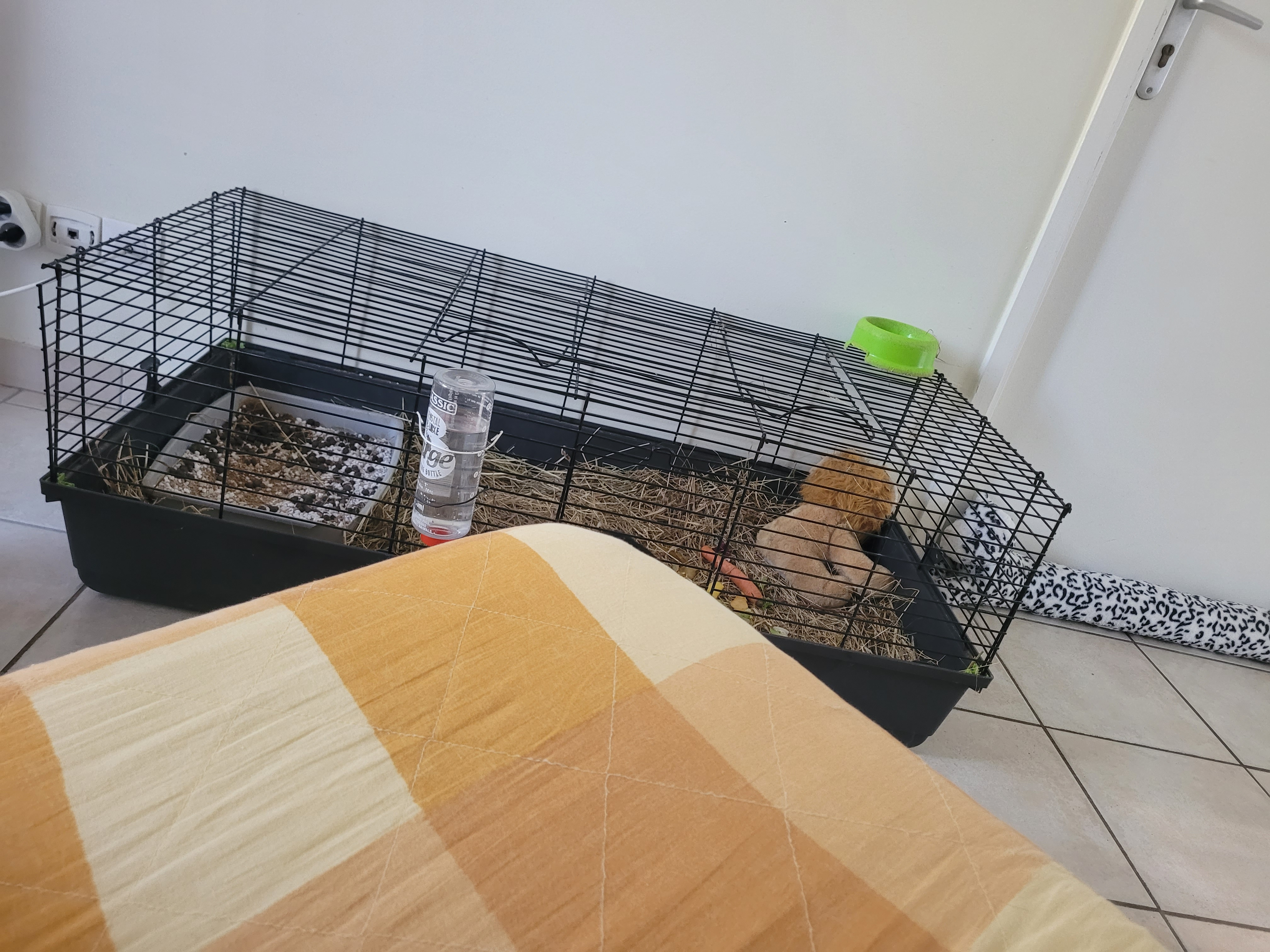 Caisse pour animaux - Miniature 2