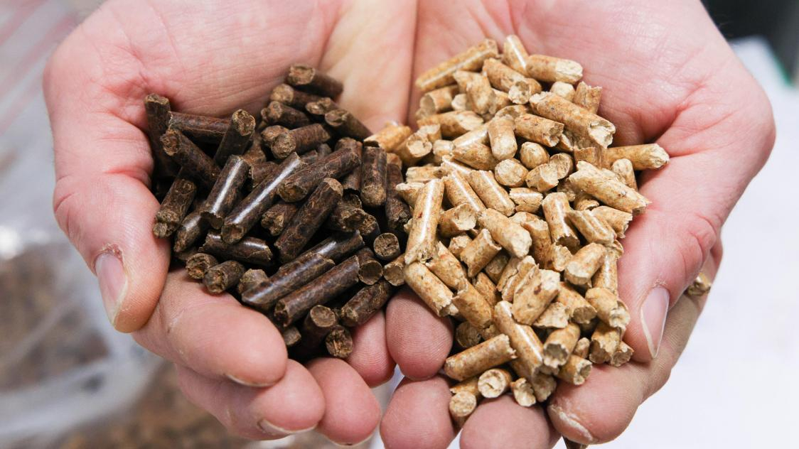 Vente des granulés de bois