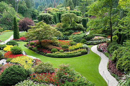 Jardin arboré