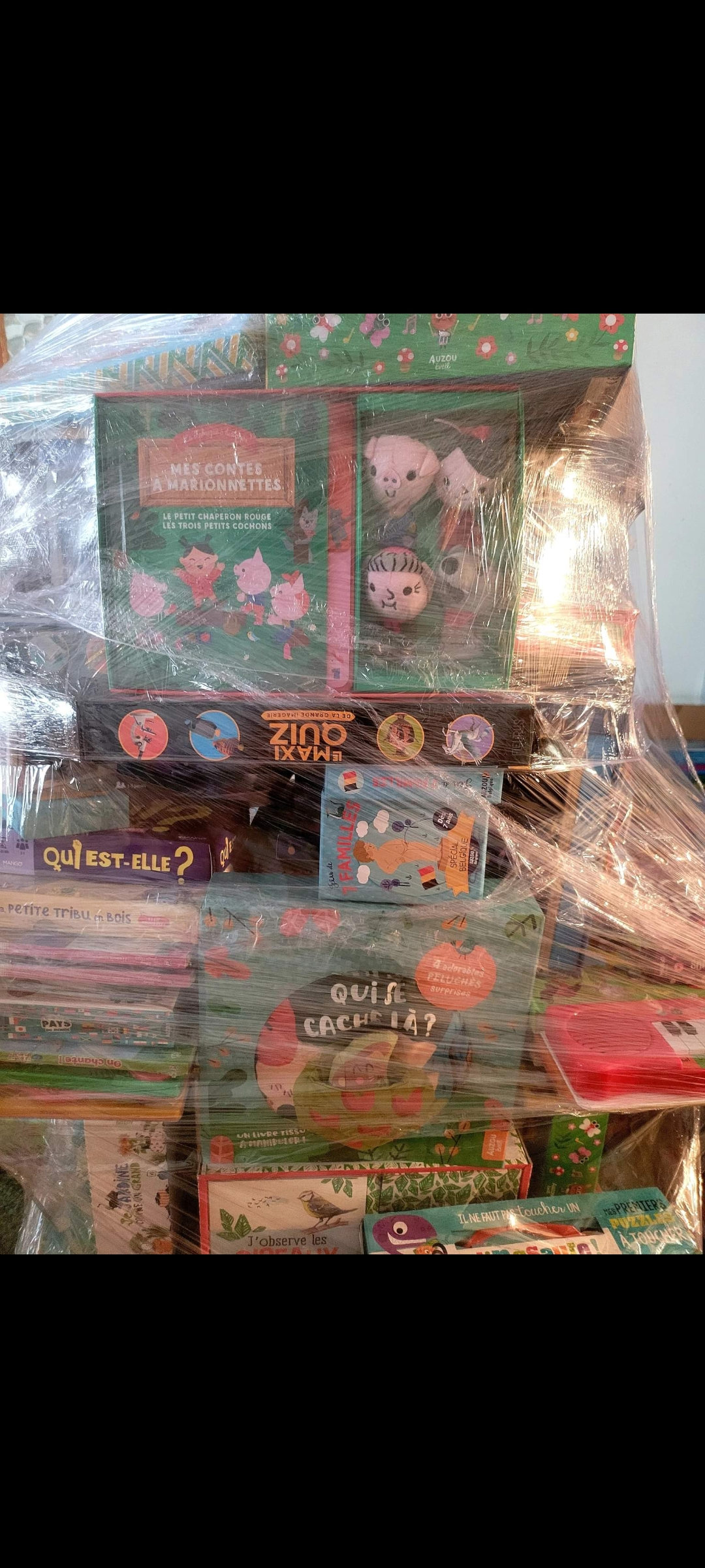 Palette de 200 jeux enfants/Peter pan/reine des neiges/bd/Cédric/Auzou/petit loup/disney