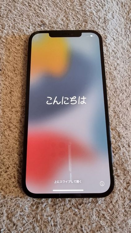 iPhone 12 Pro Max 256 Go Bleu