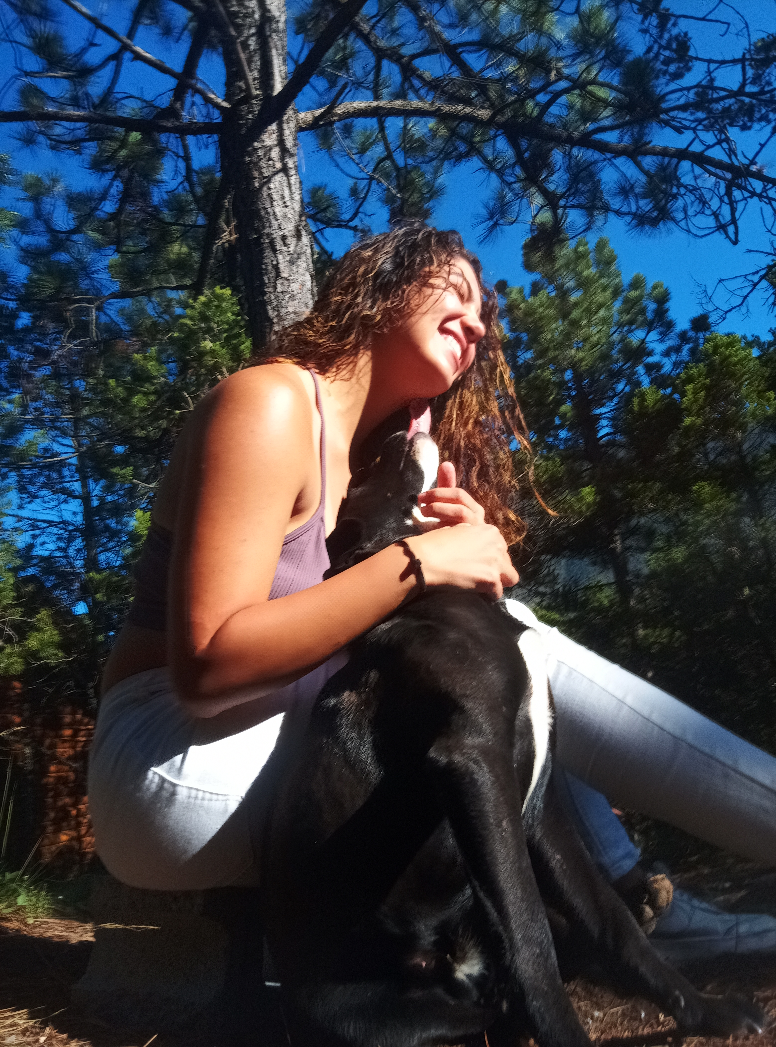 Promeneur de chien