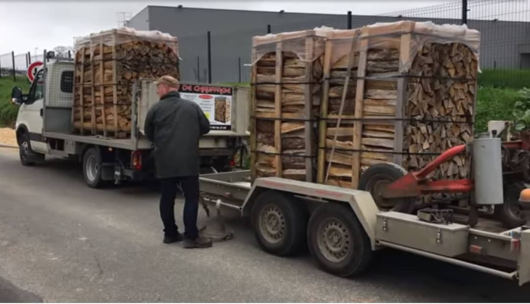 Bois en hiver