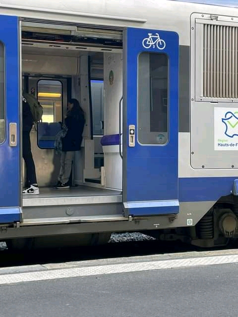 Vélos électriques