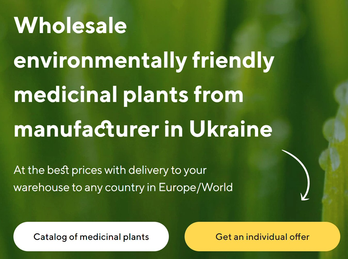 plantes médicinales
