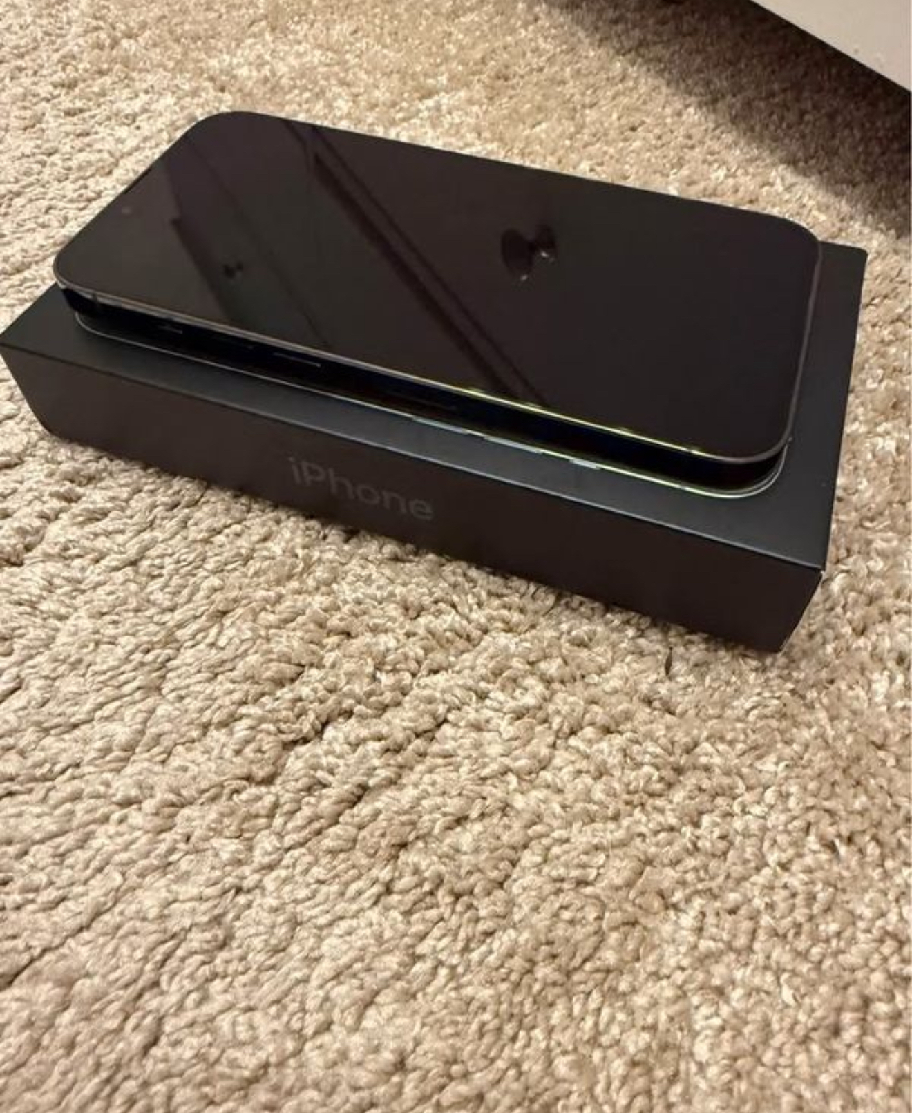 iPhone 13 Pro Max