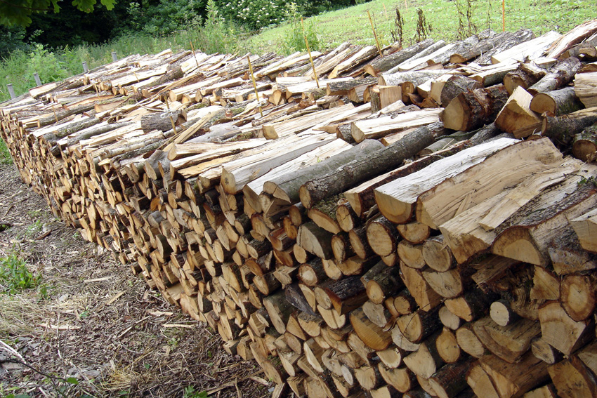 Disponible les bois de chauffage