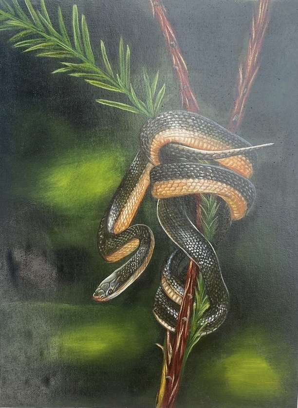 Tableau peinture à huile ( qui va là )