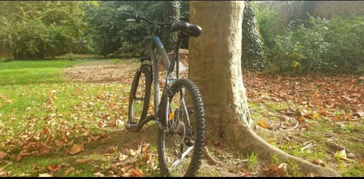 Vélo à vendre