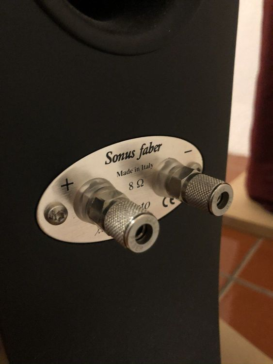 Haut-parleurs haut de gamme Sonus Faber Liuto - Miniature 4