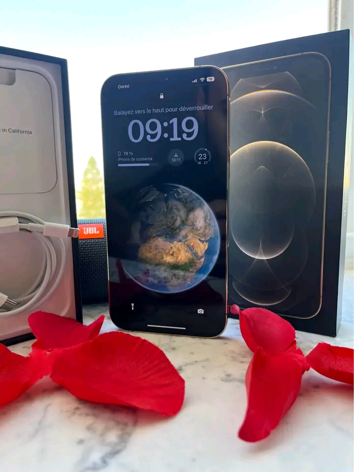 iPhone 12 Pro Max 256 GB