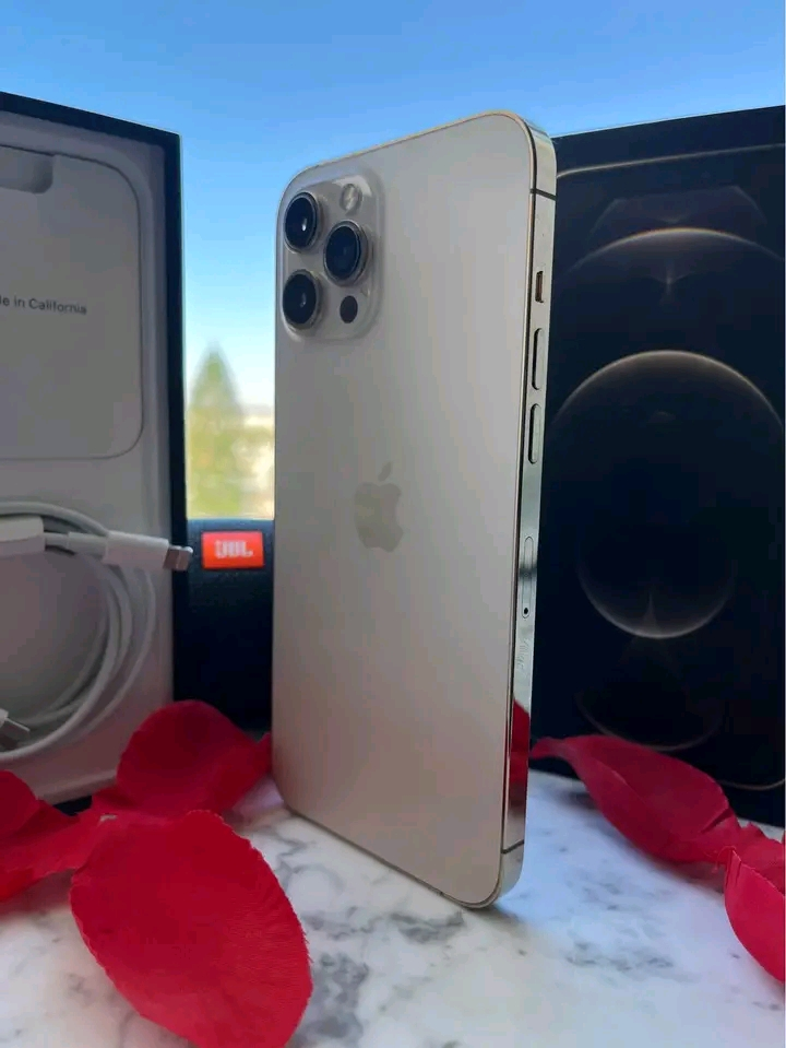 iPhone 12 Pro Max 256 GB - Miniature 3