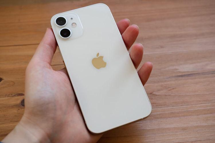 iPhone 12 + accessoires