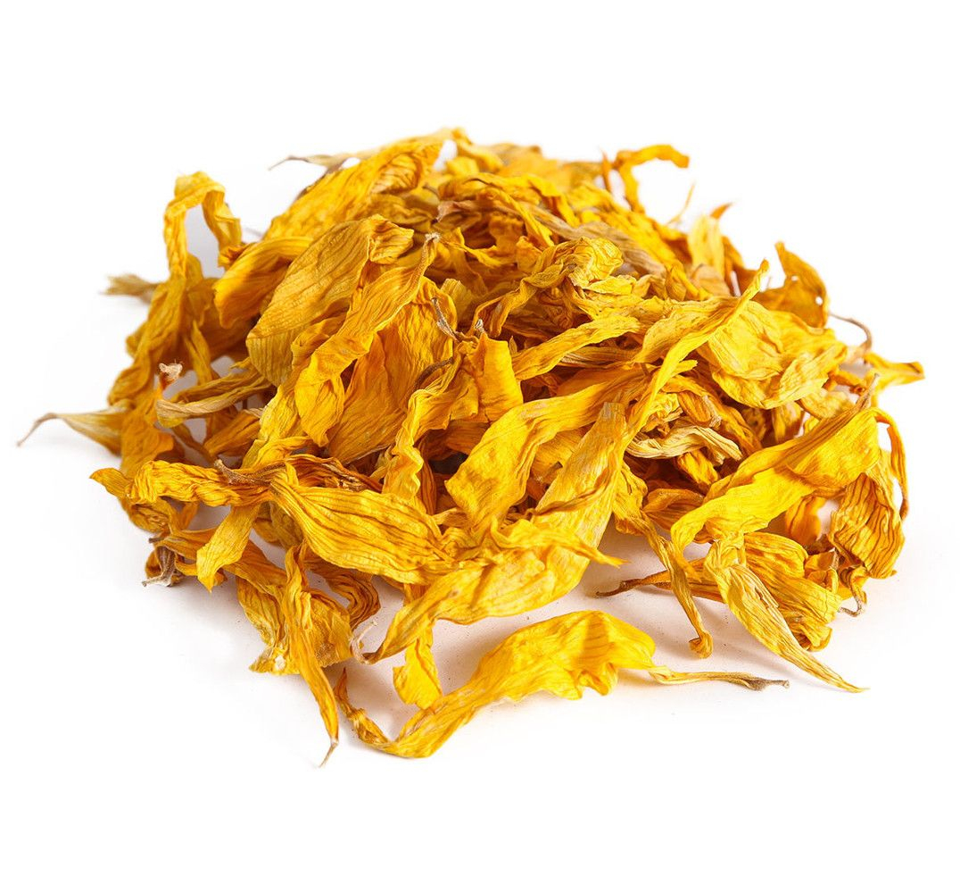 Vente de “Tournesol” en vrac du fabricant au meilleur prix
