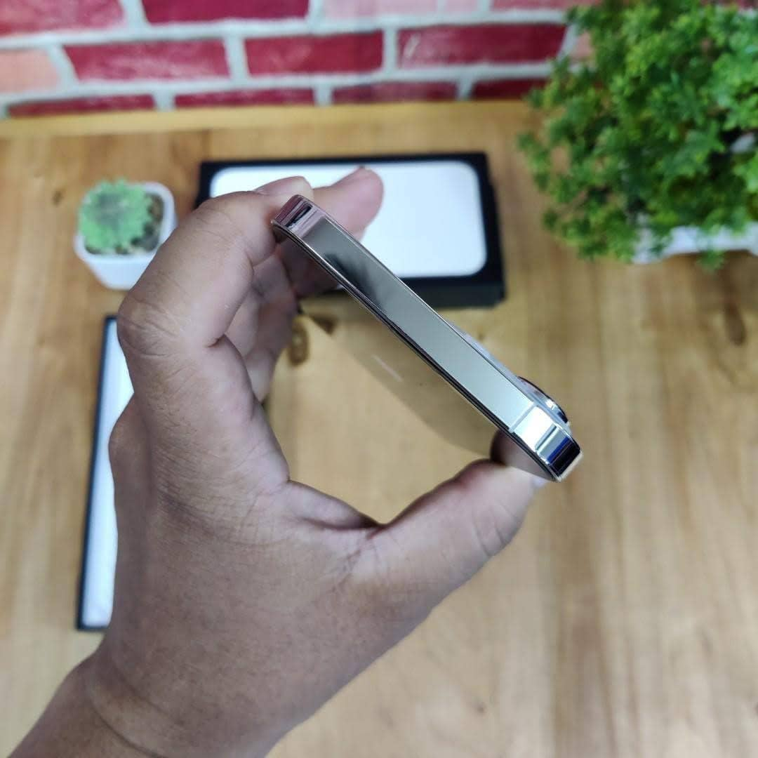 iPhone 13 pro max silver 256gb