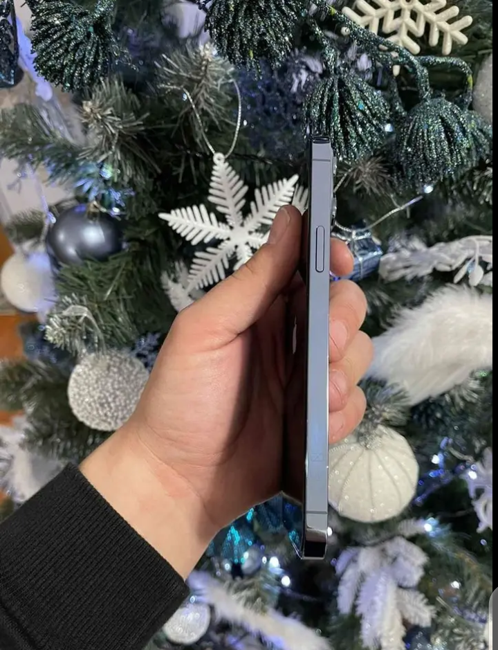 APPLE iPhone