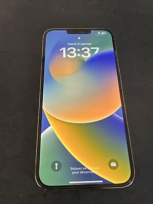 iPhone 13 prix max
