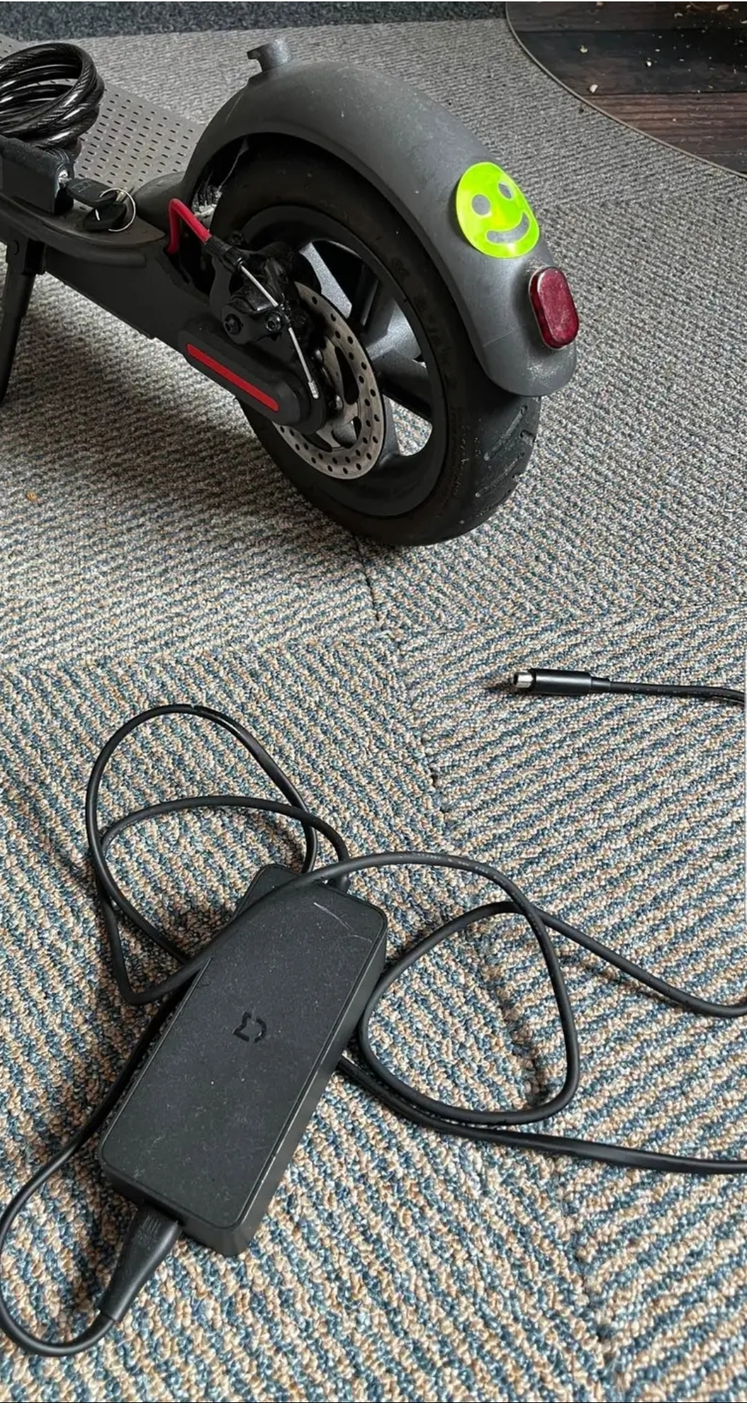 Trottinettes électrique