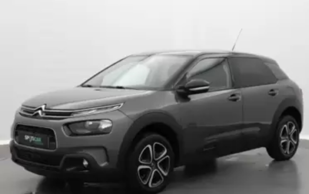 C4 Cactus en parfait état à vendre - Miniature 10