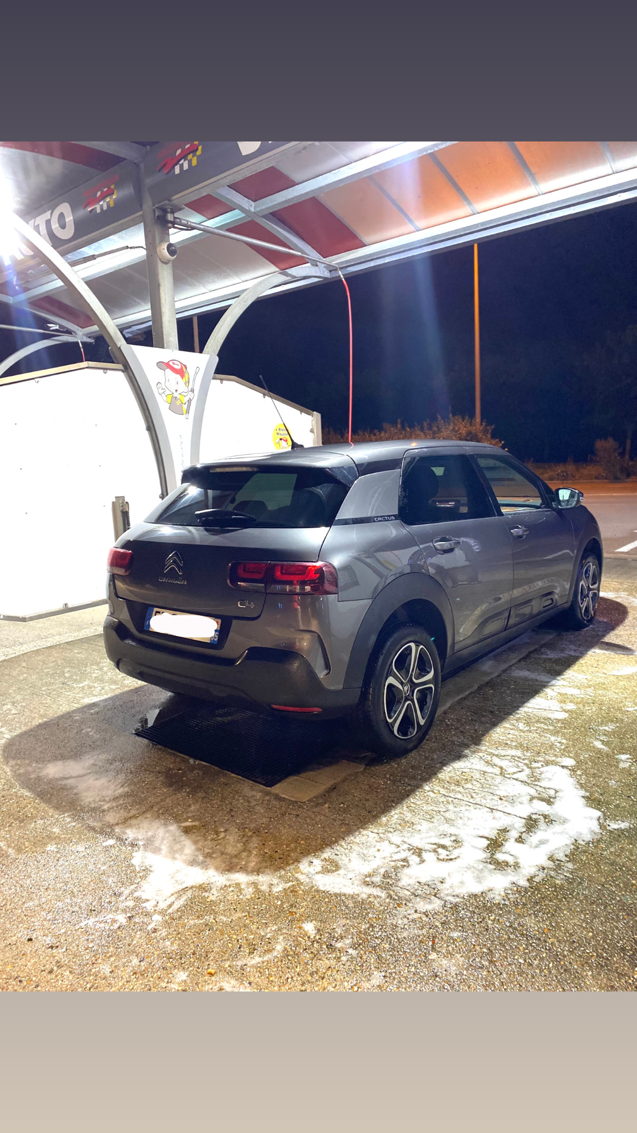 C4 Cactus en parfait état à vendre - Miniature 3