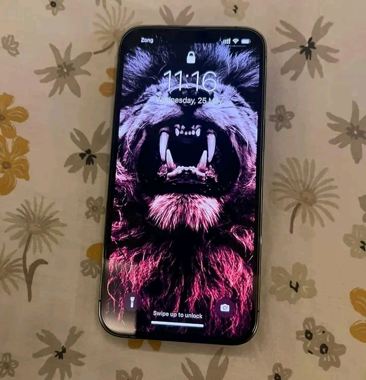 iPhone 13 pro max