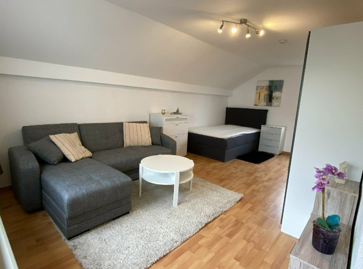 APPARTEMENT MEUBLE DE 35M² STRASBOURG