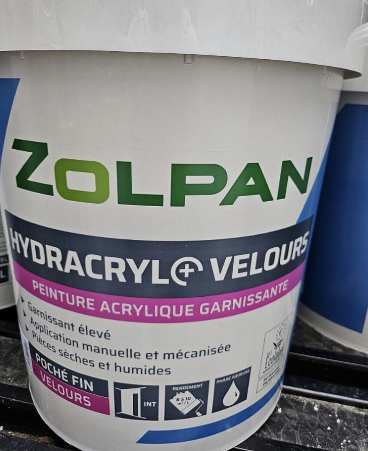 Peinture Intérieur Professionnelle de Haute Qualité