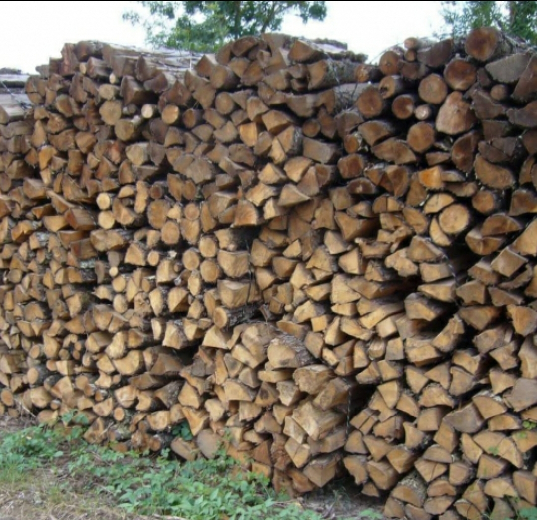 bois de chauffage