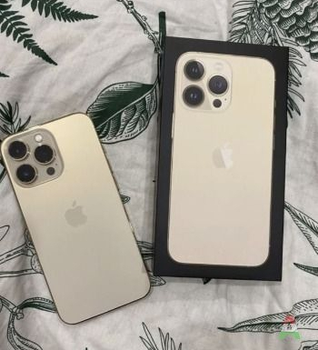 iPhone 13pro max 256go