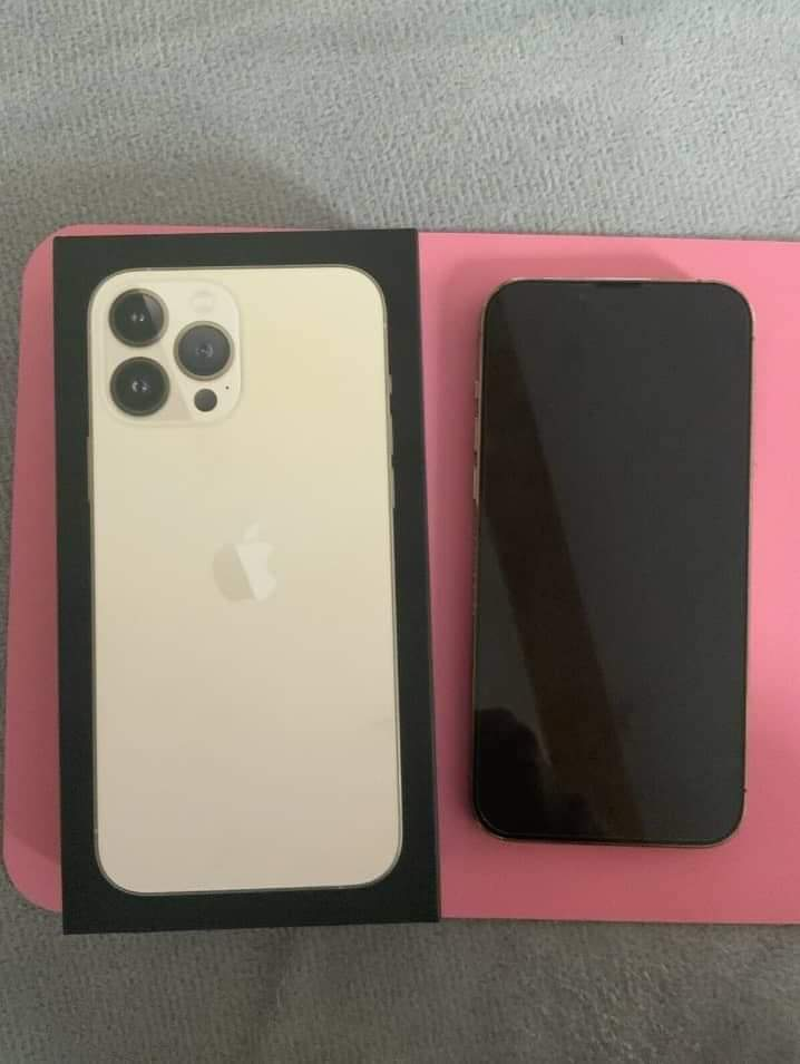 iPhone 13 pro max