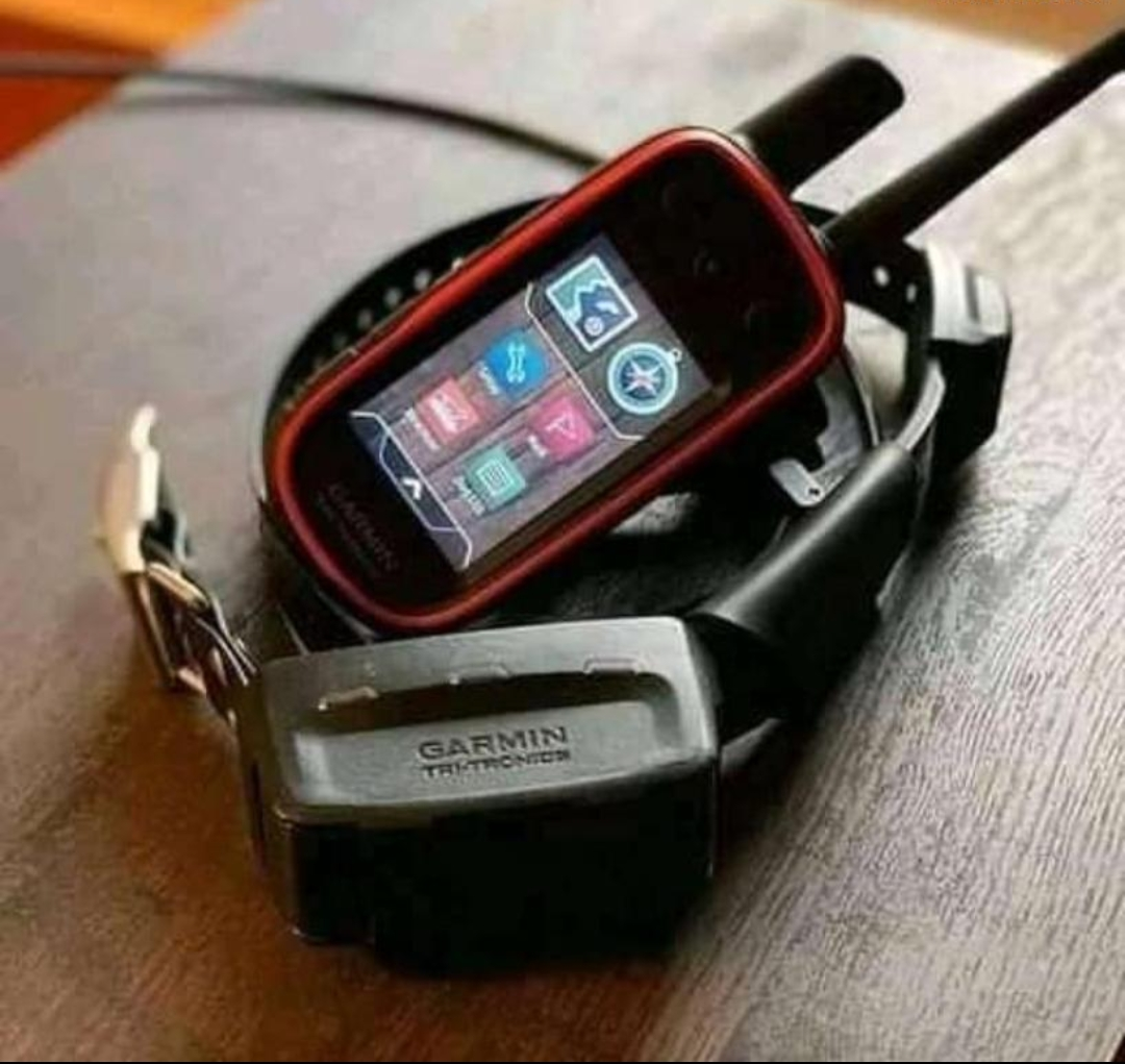 Collier tt15 alpha Garmin - Miniature 2
