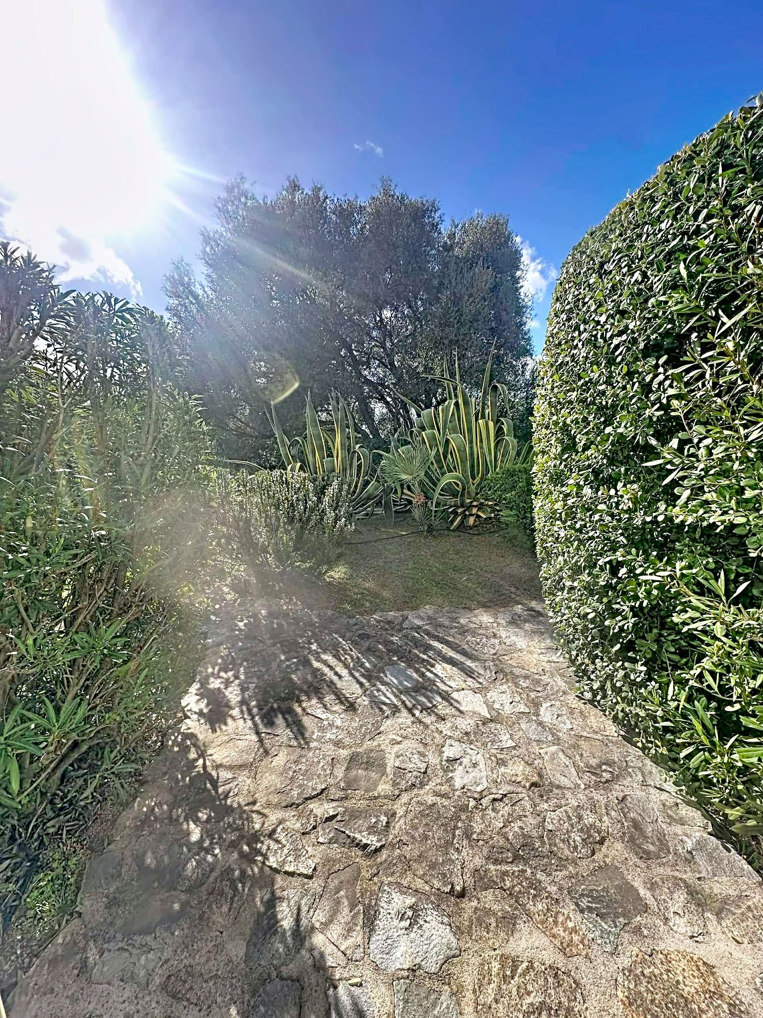 Nouveauté ! Magnifique T3 en duplex dans un quartier calme à Lumio L15 - Miniature 5