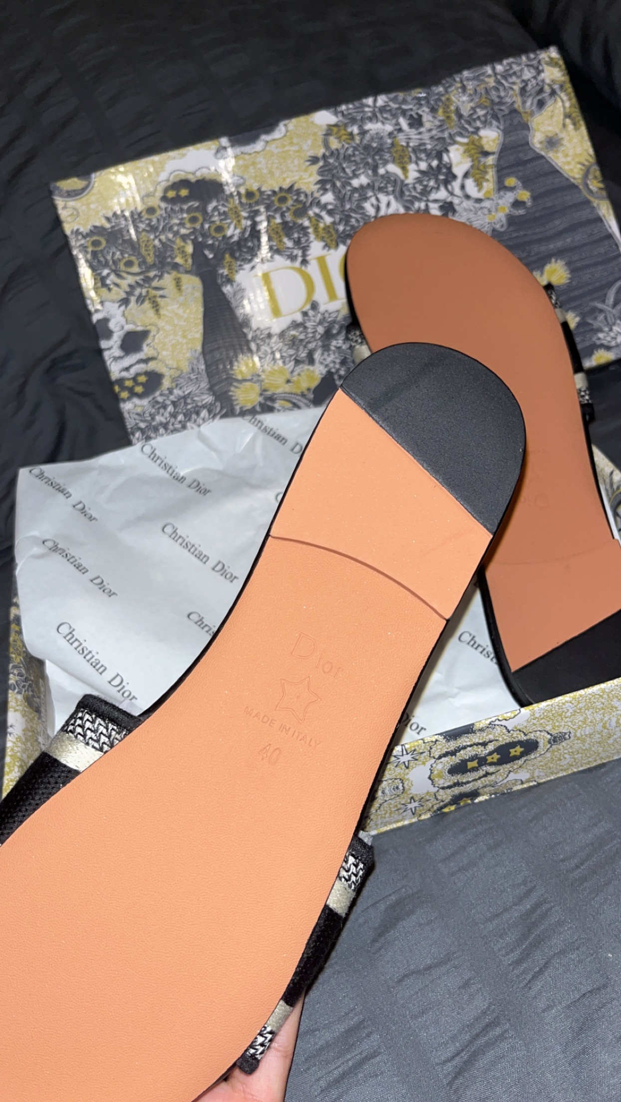 Dior mule Dway