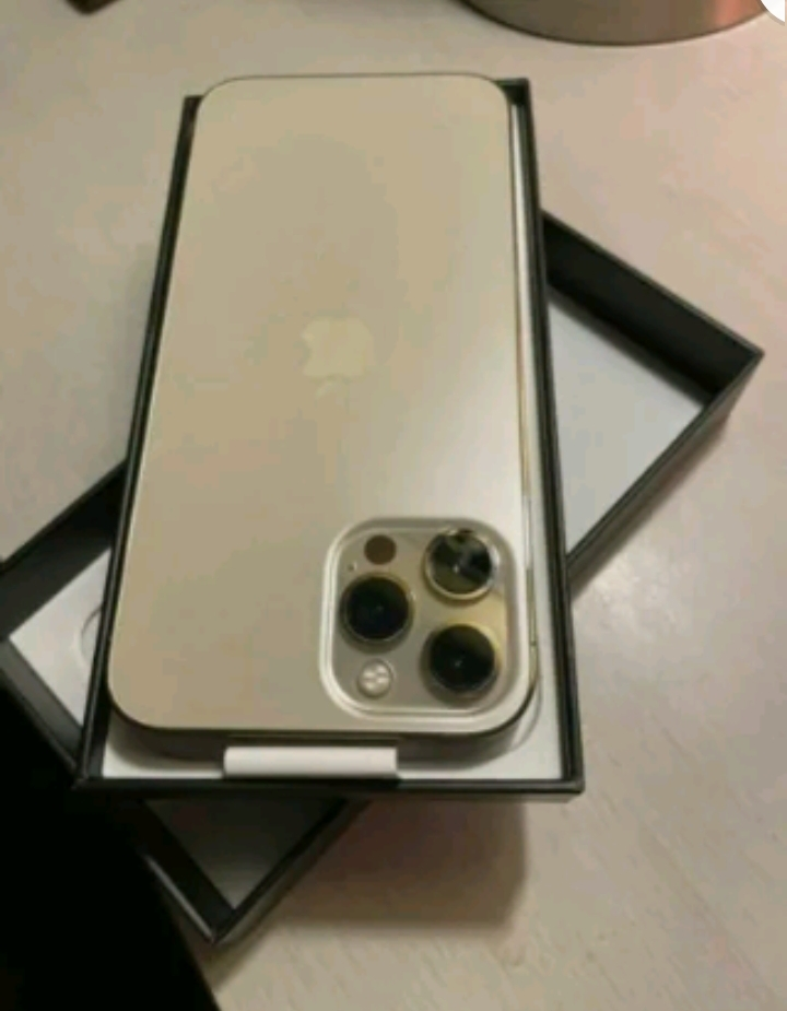 Apple iPhone 13 Pro Max - 512 Go - Ou (i shkyçur - Photo 1
