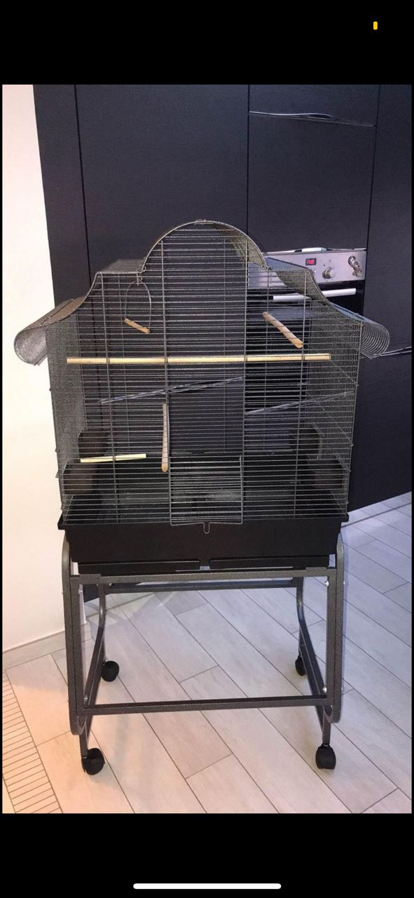 Cage à oiseaux bon prix et sécurité 😍