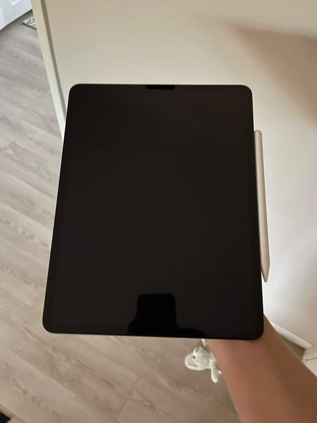 iPad Pro