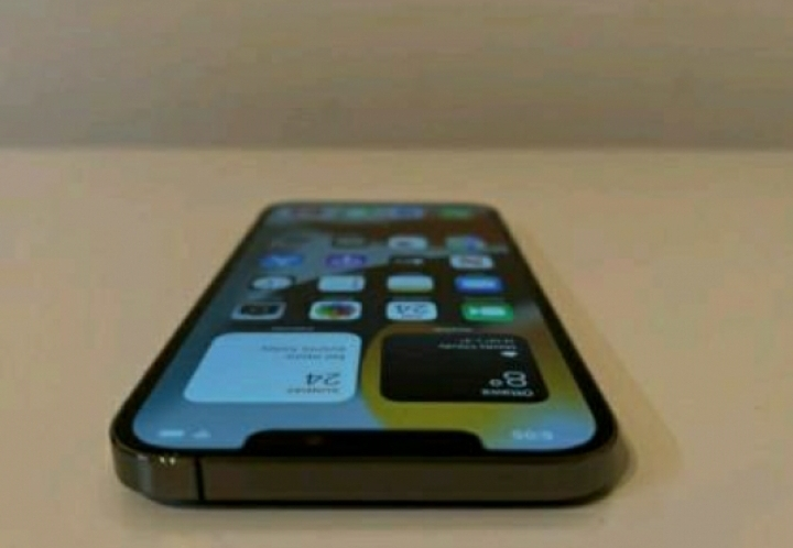 Iphone 12 pro max