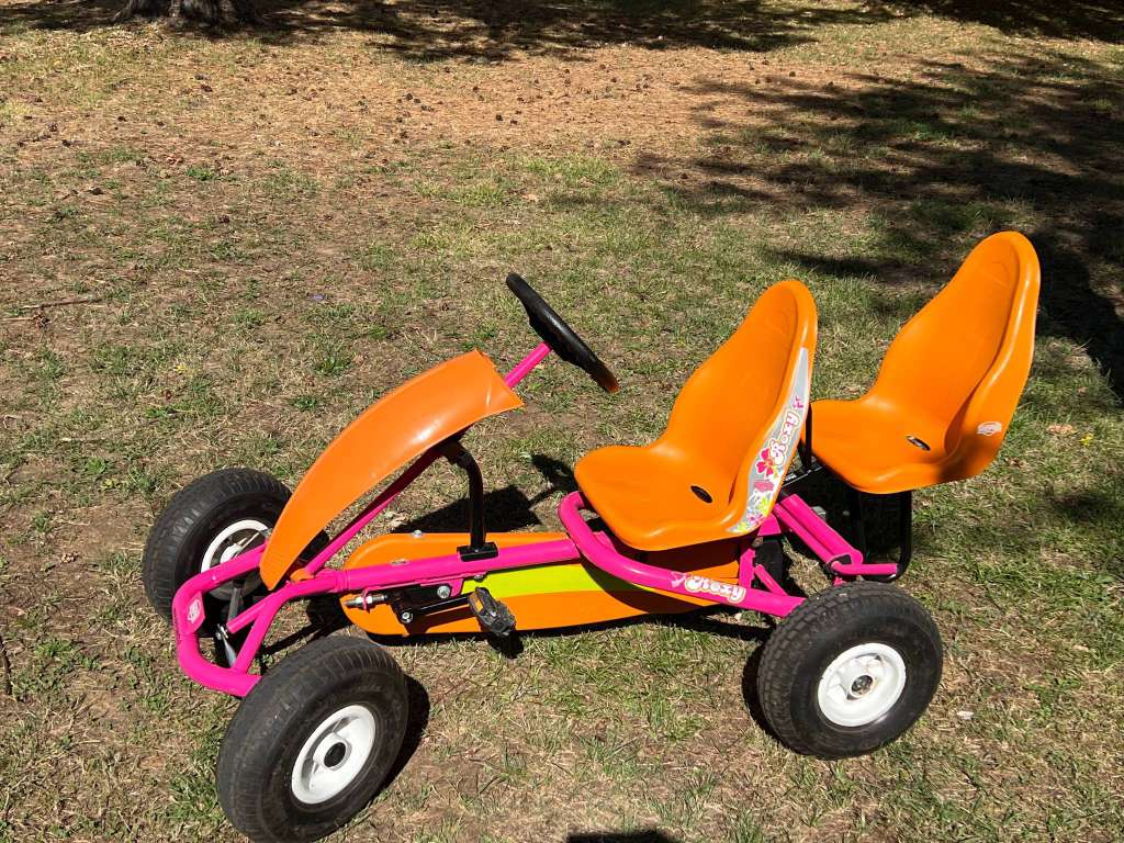 Kart Berg Roxy AF