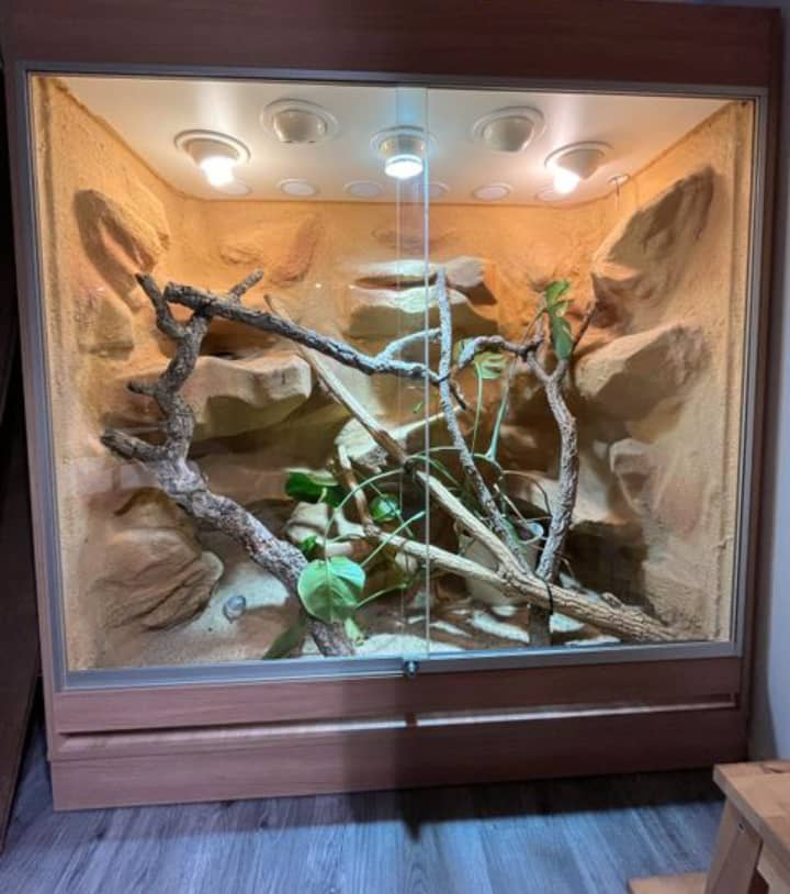 terrarium