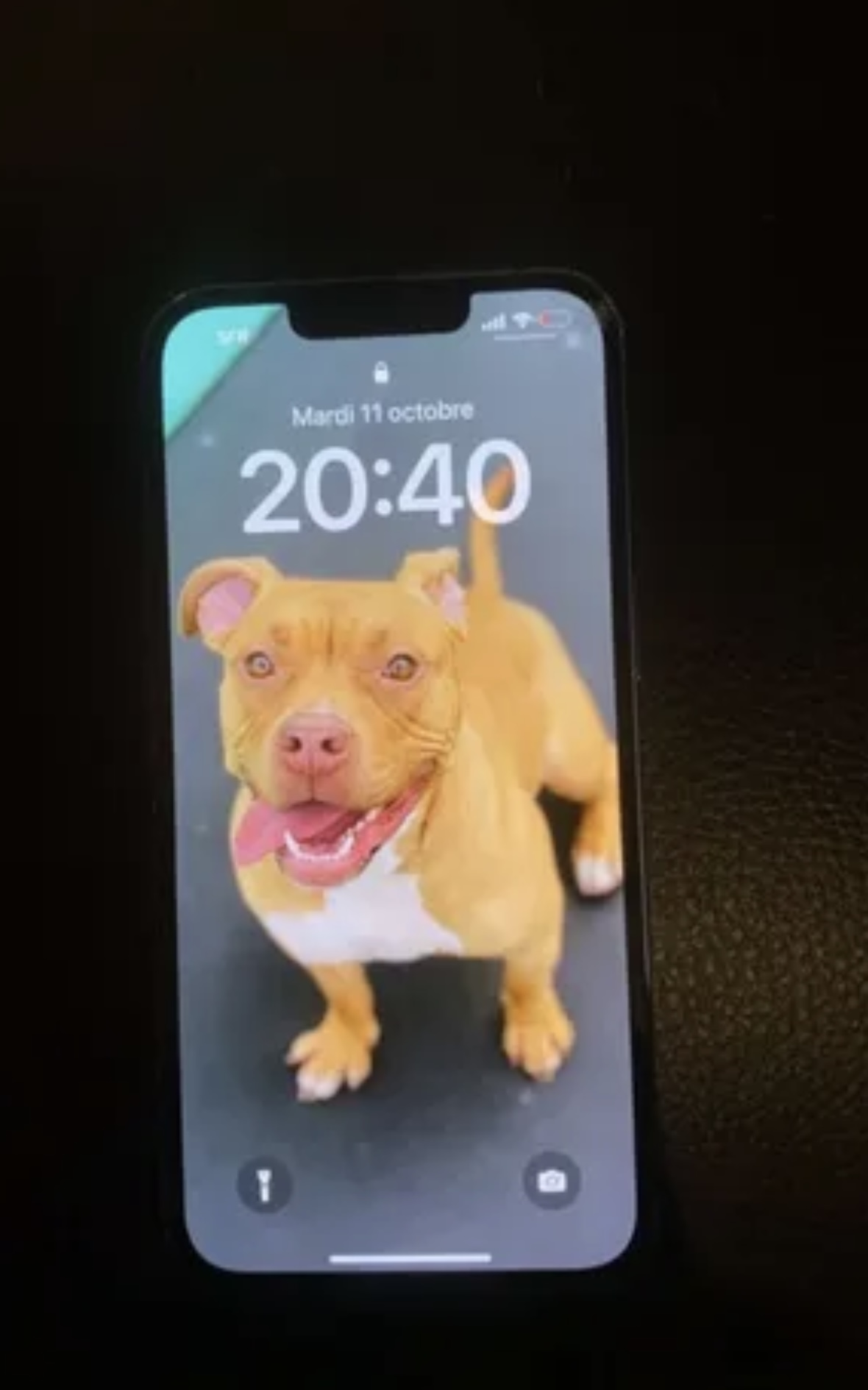 iPhone 13 bleu