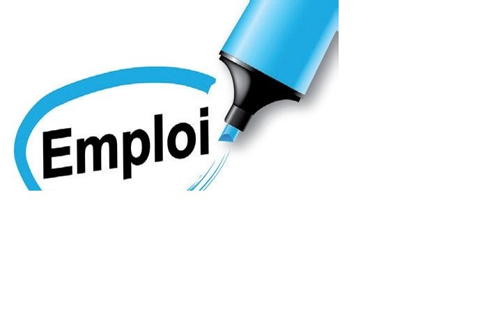 RECRUTEMENT POUR UN TRAVAIL A DOMICILE SALAIRE 300€ PAR SEMAINE