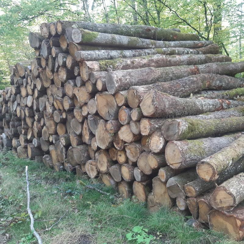 Bois de chauffage