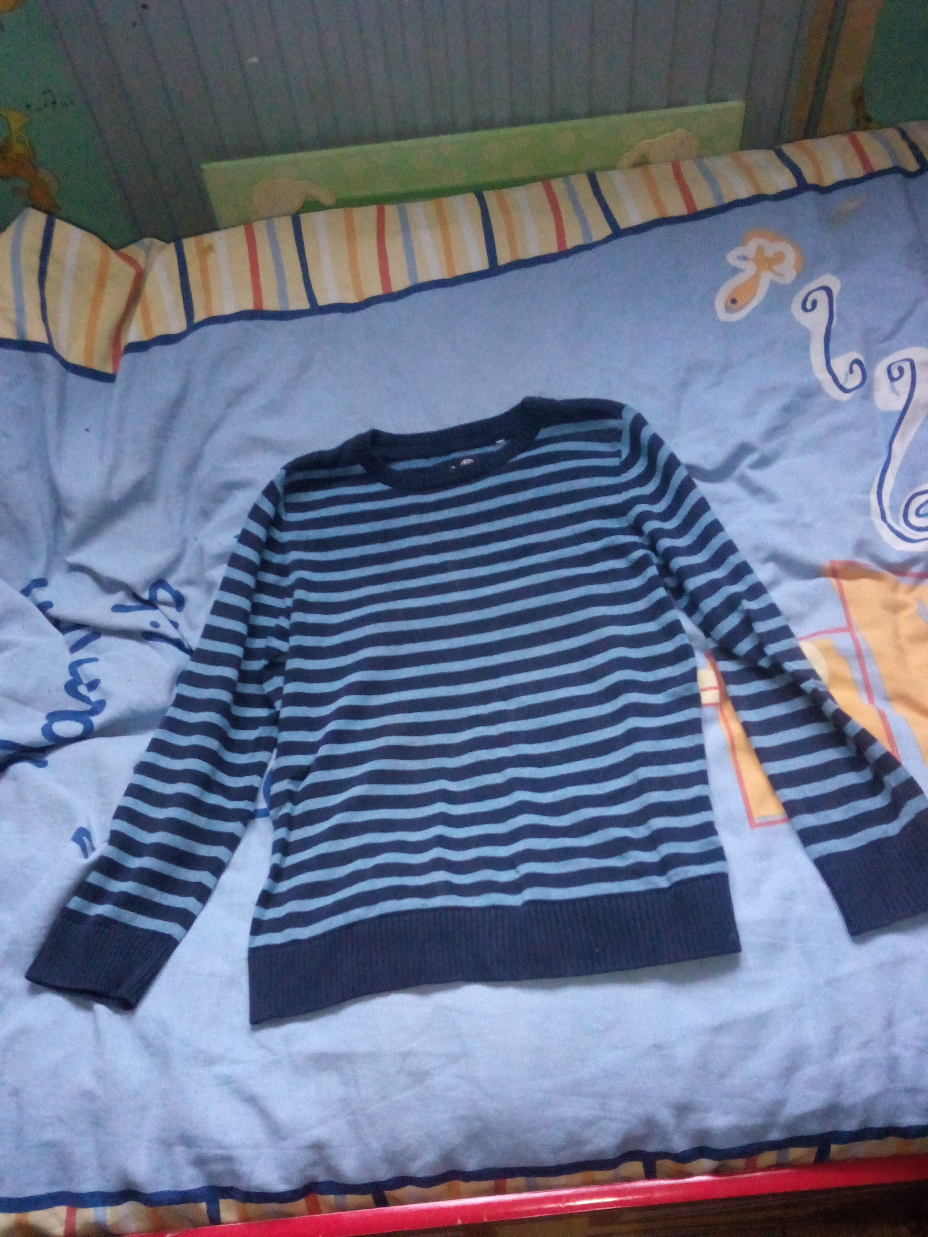 Pull garçon âgé 10 ans