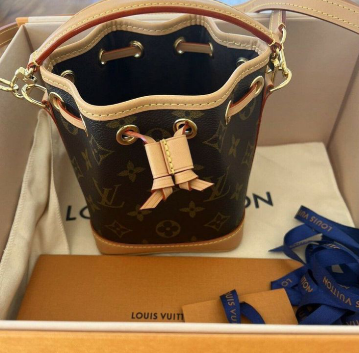 Sac Louis Vuitton