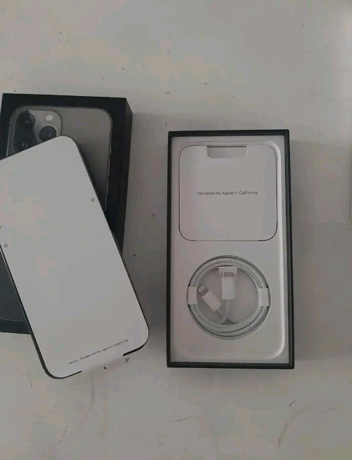 iPhone 13 pro max