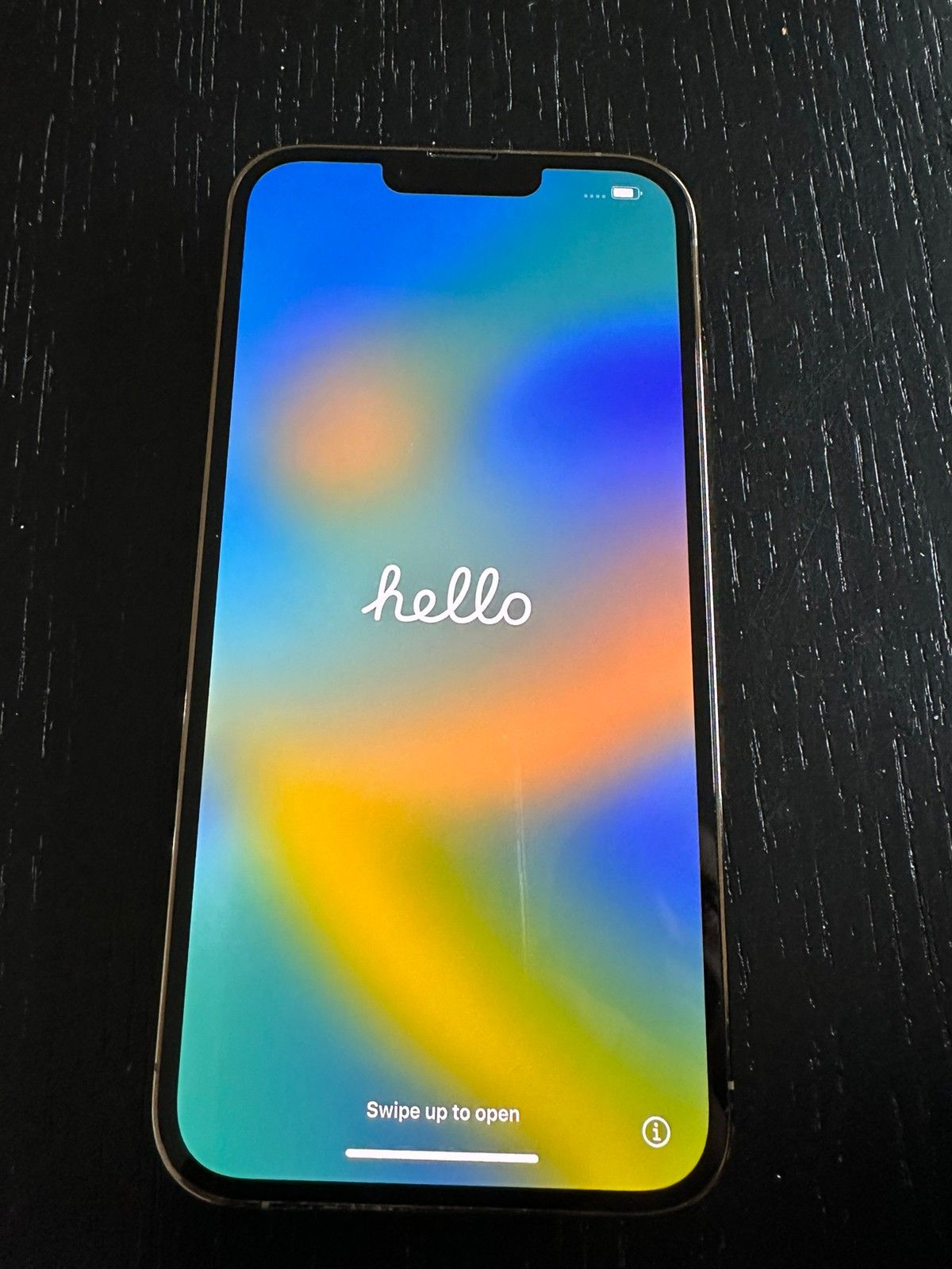 iPhone 13 Pro Max